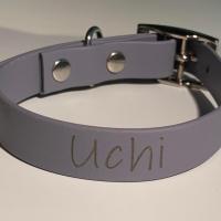 380009662 3595112524079958 4366041289438671756 n