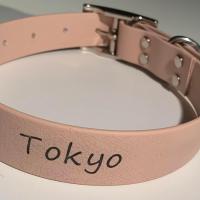 380218234 1484345428995864 5377484301252985041 n