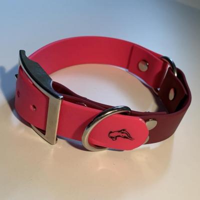 393692571 298131215899051 336588720255354798 n