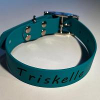 417660397 391904513326389 8124285060007095599 n