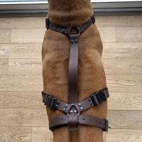 418268679 3828610177408242 635735230988245130 n