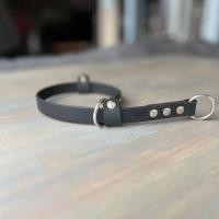 418313986 728687272692374 1050968301253335158 n