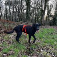 418858293 779526237115662 3381098537502872117 n