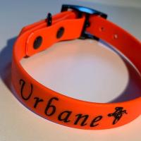 418898601 221984810987079 6100965160429920138 n