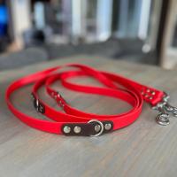 436618940 2431442917245231 5130664205124537106 n