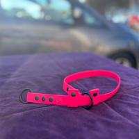 436638692 1458066554803150 3936799777507097827 n