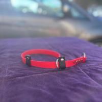 436660578 2798246630353905 2239660955221771111 n