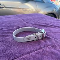 436668551 1128362648385272 4954321738484295378 n