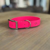 436709266 1424670038410020 5383871552825373133 n