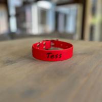 436725489 1501250264123386 4252786677699638512 n