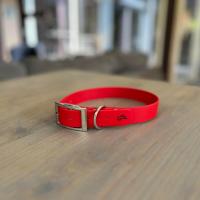 438125147 379540987852692 6562192154601080390 n