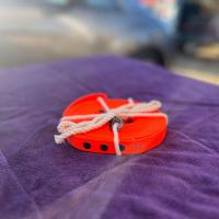 441892075 964656595155758 9131691021401319109 n