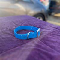 441909994 2043374152731029 3719430149404655356 n