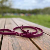 441930526 2130786590612894 7659314508048087289 n