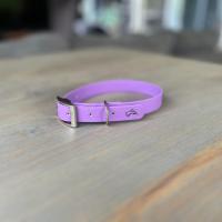 441940153 448019124628915 5924897537971996177 n