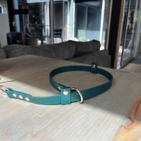 441941518 760285499604070 4107298532824734646 n