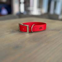 441946187 801970425362473 7760381444634610076 n