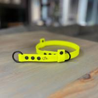 441963841 1231603641557683 911878135475898509 n